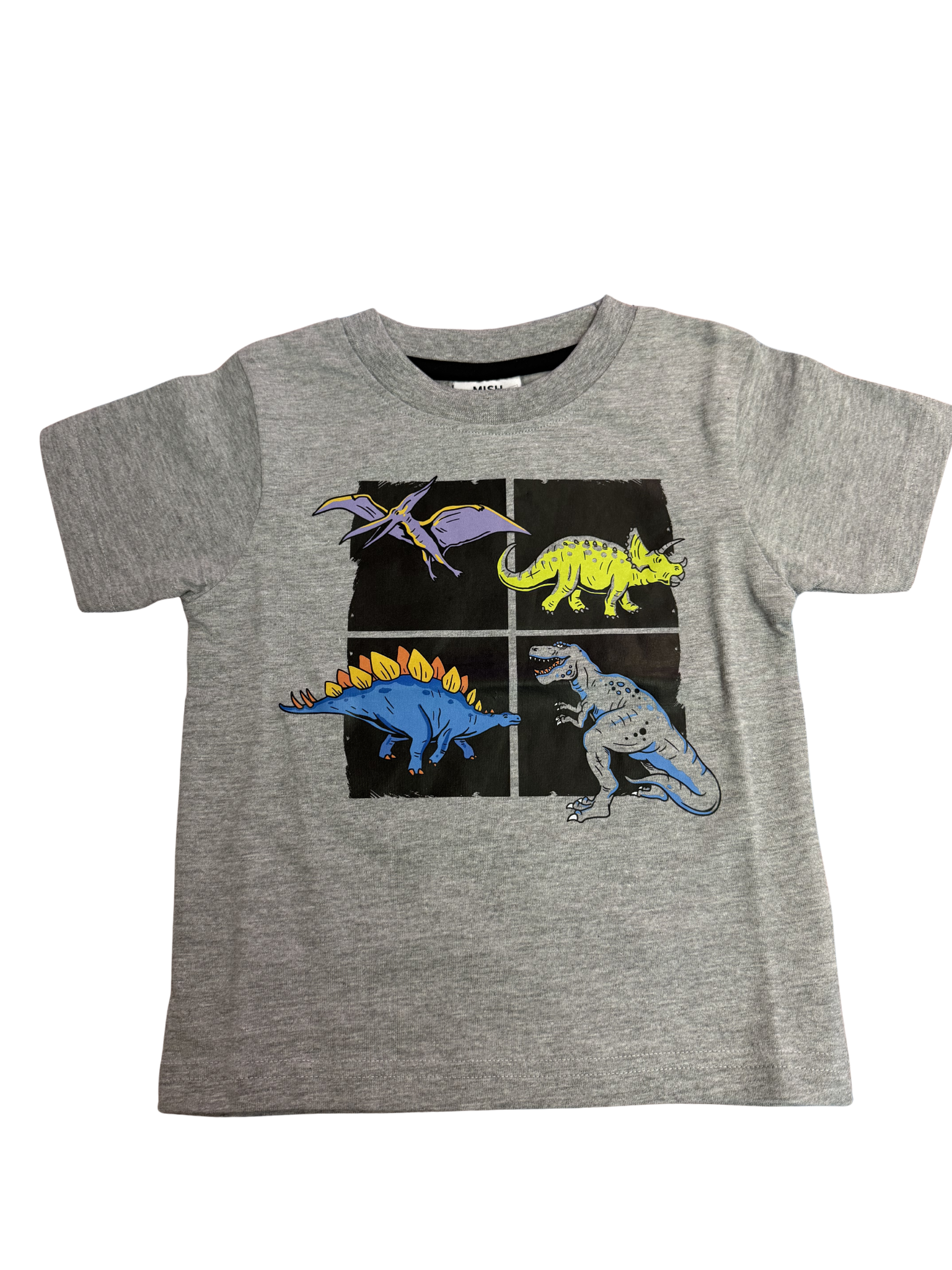 Mish Neon Dino Tee