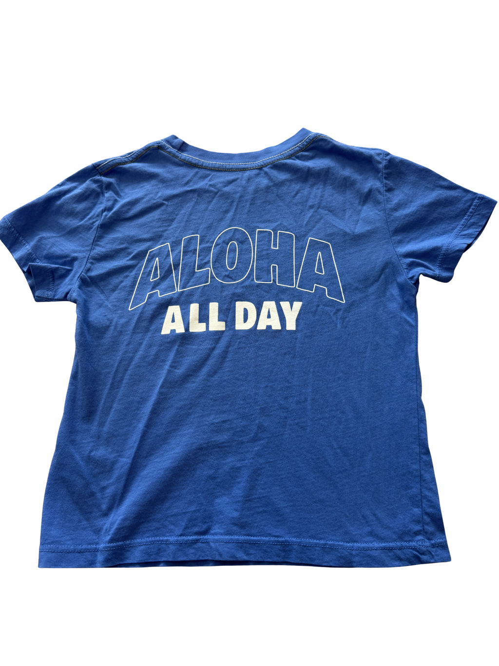 Feather 4 Arrow Aloha All Day